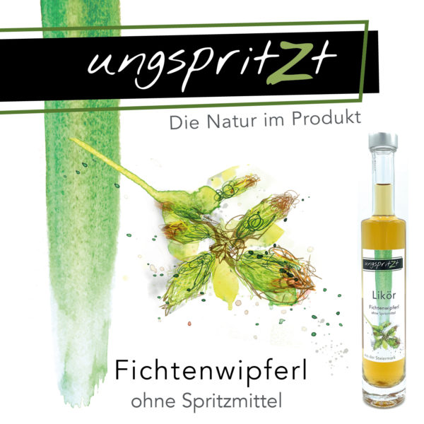 ungspritzt-Likör | Kiefernzapfen & Fichtenwipferl,  2 x 100ml in Geschenkkarton – Bild 4