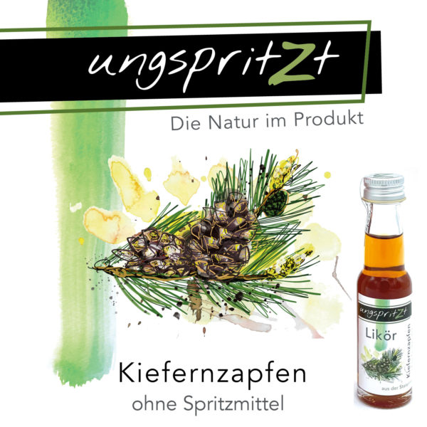 ungspritzt-Likör | Kiefernzapfen – Bild 5